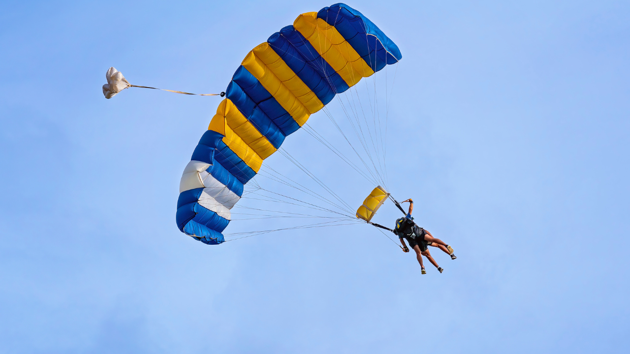 ELITE Experiences for Your Corporate Holiday Party | Strayboots