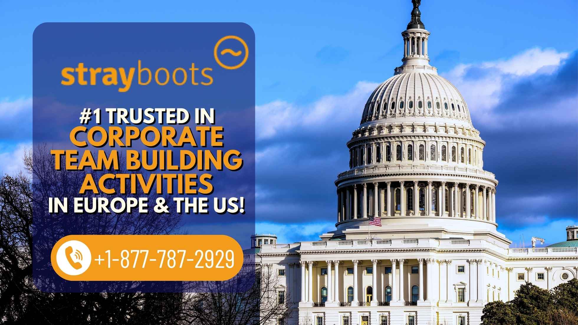 CONTACT US - Strayboots - team building - scavenger hunt - washington DC